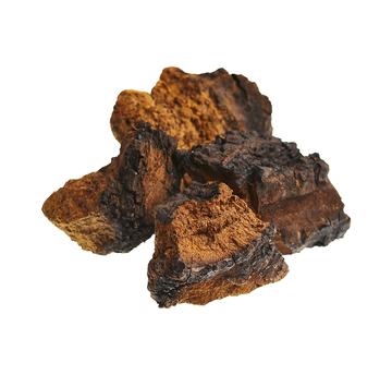 Chaga